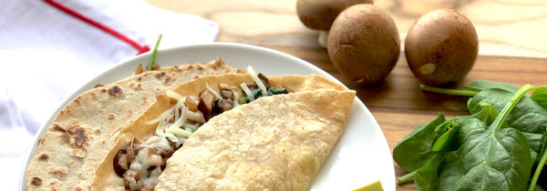 Cheesy Wrap